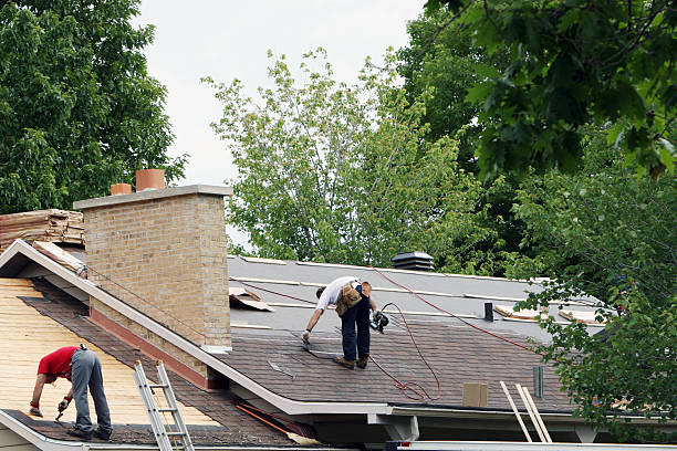 Best Roof Leak Repair  in Morrisville, NY