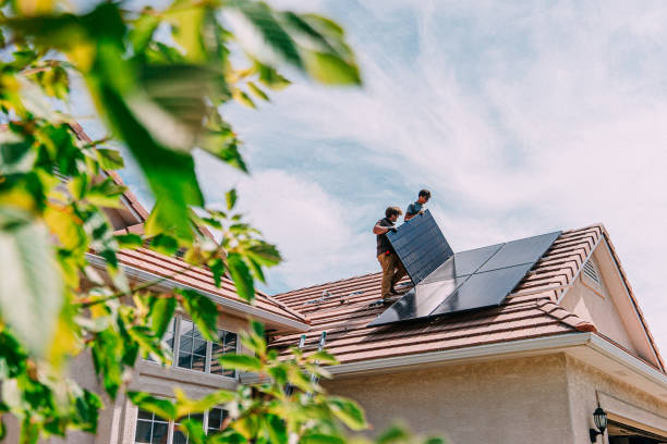 Best Roof Gutter Cleaning  in Morrisville, NY