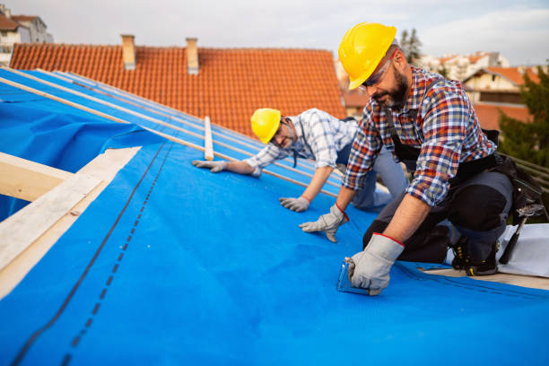 Best Roof Waterproofing Services  in Morrisville, NY