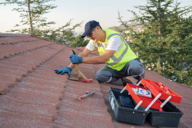 Best Storm Damage Roof Repair  in Morrisville, NY